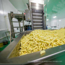 Línea de producción automática de papas fritas